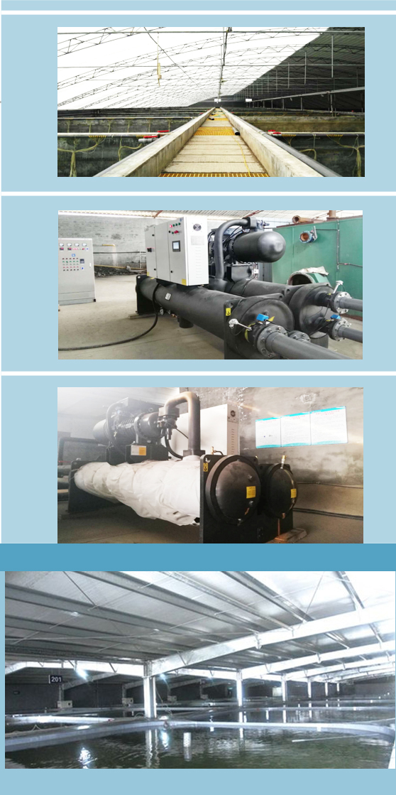 螺桿式熱泵機組海水養殖
