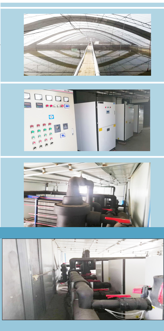 [案例展示]模塊化熱泵機組海水養殖項目
