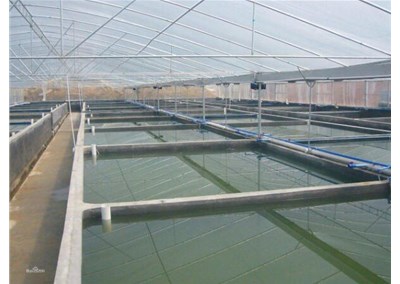 水產養殖恒溫的五個辦法，中科能水產養殖恒溫熱泵有效解決水溫控制問題